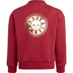 adidas Chaqueta Disney 100
