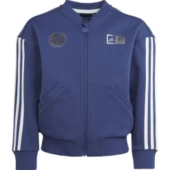 adidas Chaqueta Disney 100