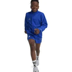 adidas Chaqueta Team Wind.Rdy