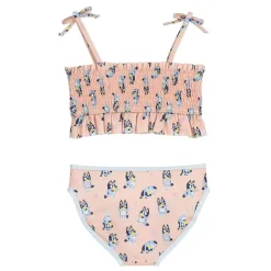 Bluey Bikini Bluey