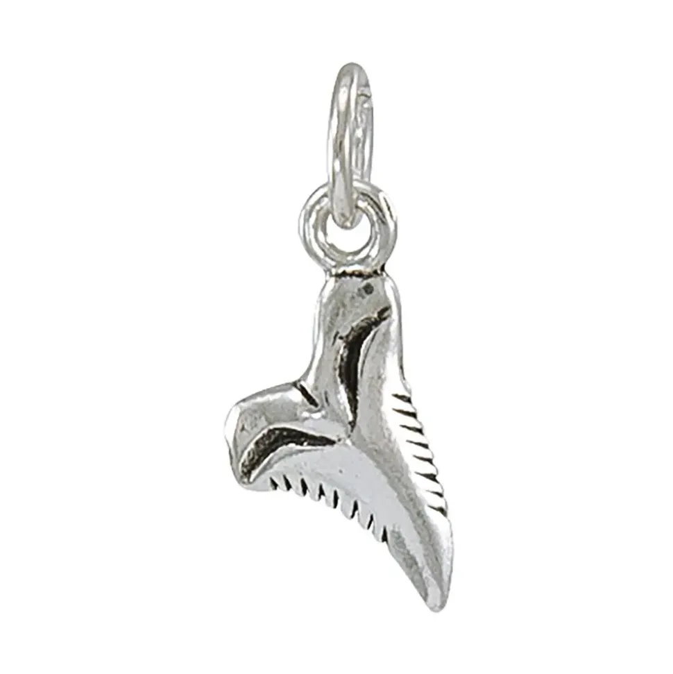 Dive Silver Colgante Shark Tooth Charm