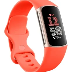Fitbit Smartwatch Charge 6