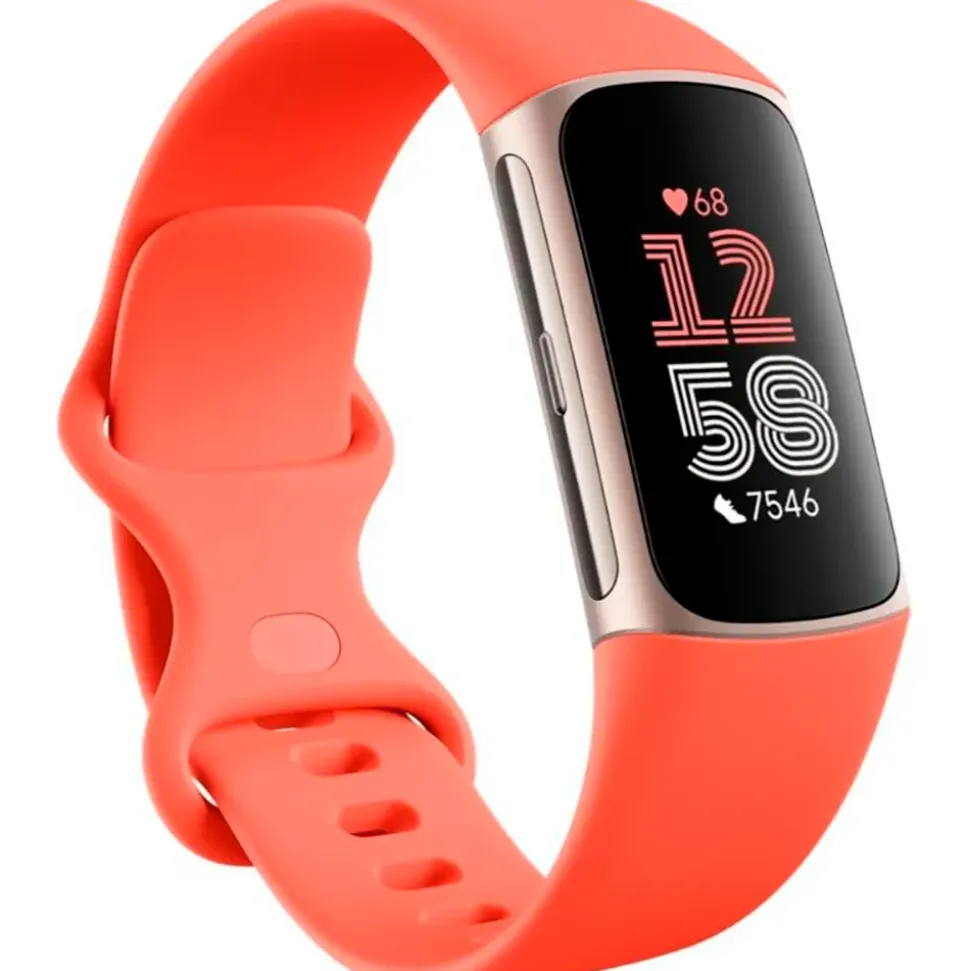Fitbit Smartwatch Charge 6