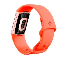 Fitbit Smartwatch Charge 6