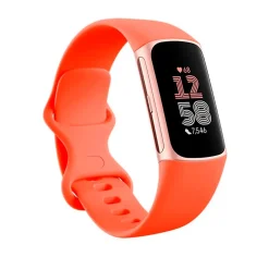 Fitbit Smartwatch Charge 6