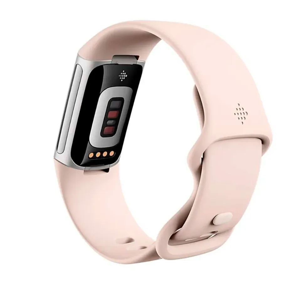 Fitbit Smartwatch Charge 6