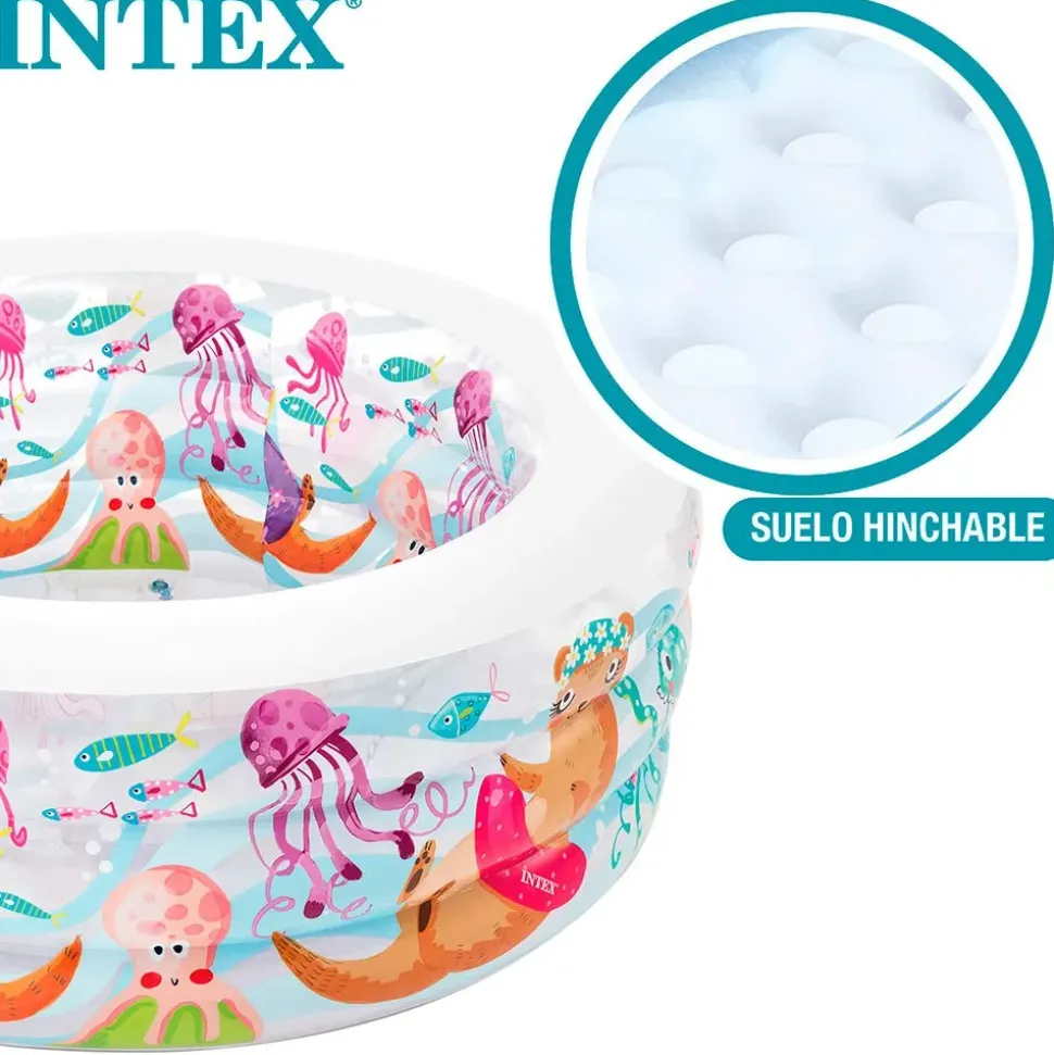 Intex Piscina Inflatable Aquarium