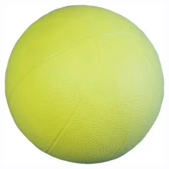 Leisis Pelota Polyvalent L